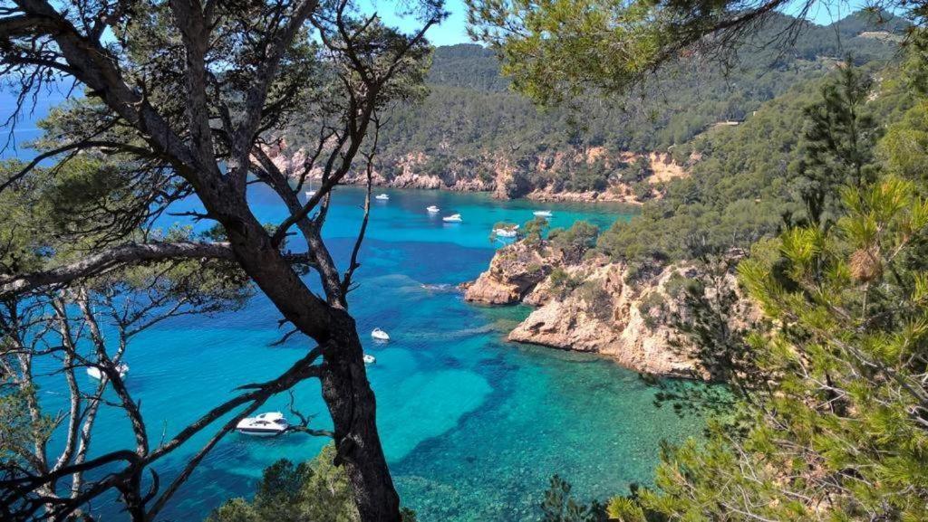 Studio Bandol Centre 2 Etoiles Ideal Emplacement Exterior foto